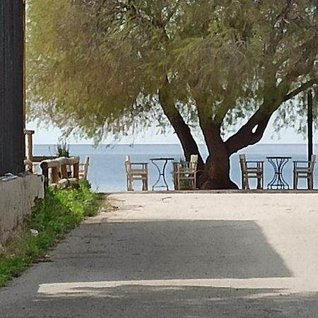 Villa Ψάθα Παραλία Esterno foto